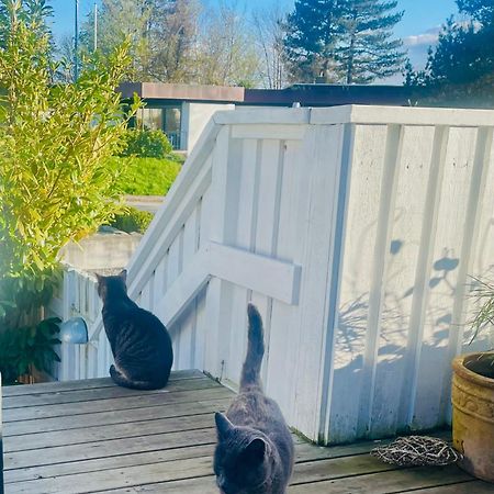Cool Familyhome Close To The Beach W Two Cuddly Cats Espergaerde Exterior photo